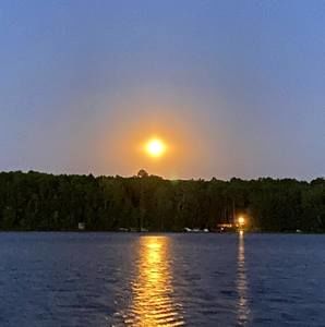 Meet your Posher, Marisa